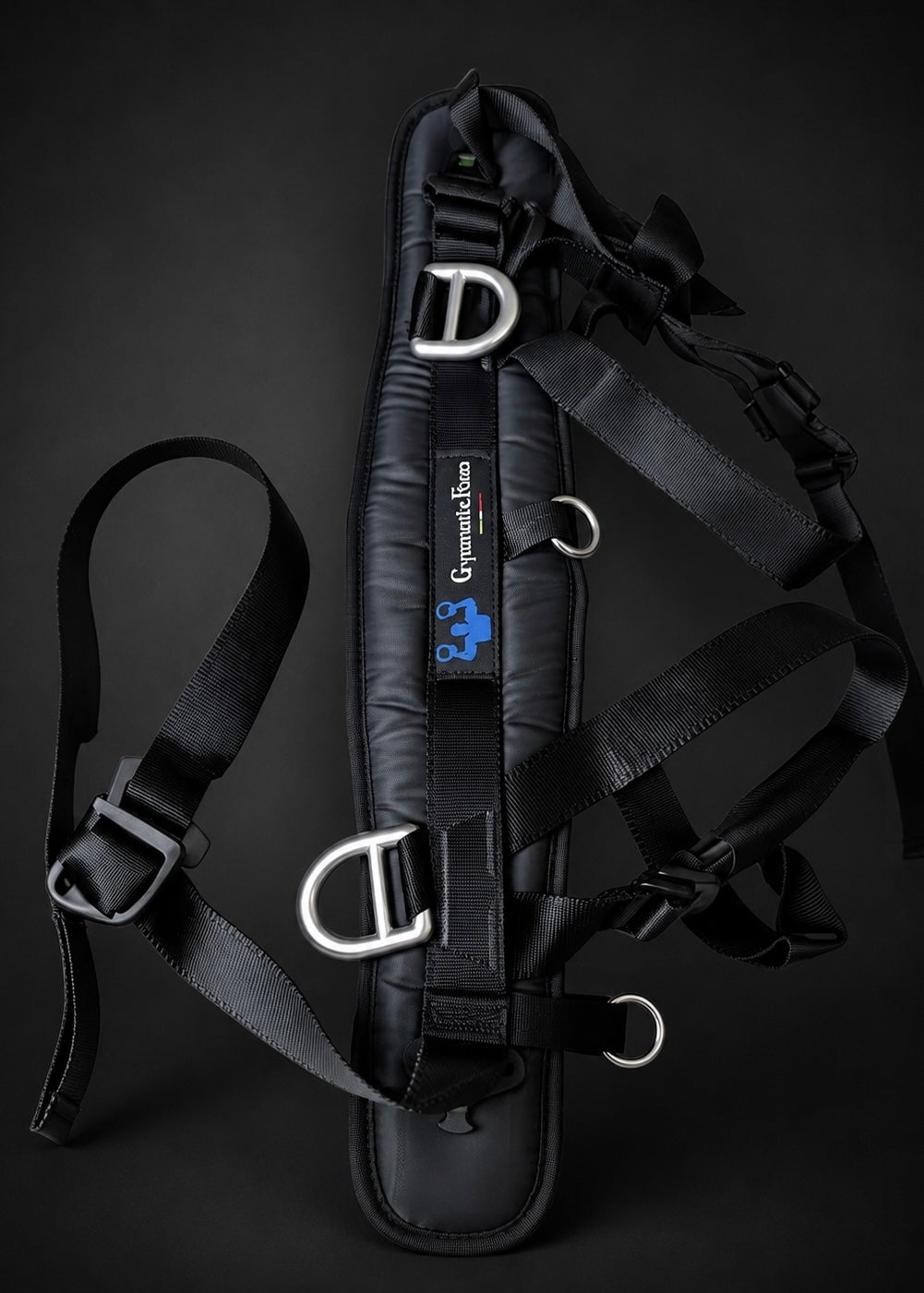 Forza Rings System pulley and rope setup